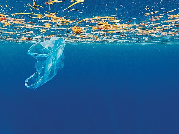 Plastic bag floating in the sea